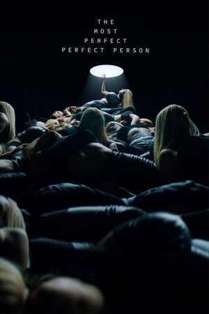 The Most Perfect Perfect Person The Most Perfect Perfect Person