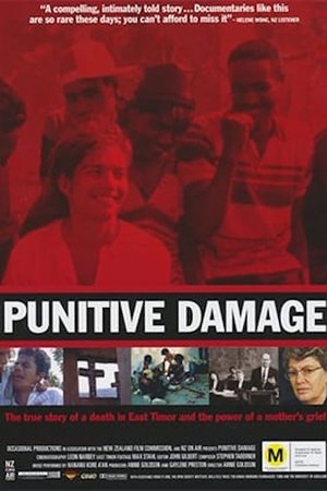 Punitive Damage Punitive Damage