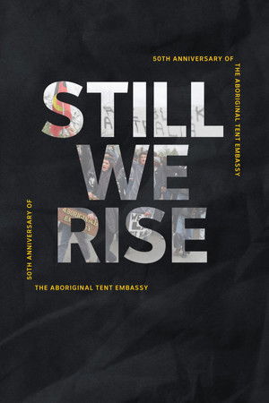 Still We Rise Still We Rise