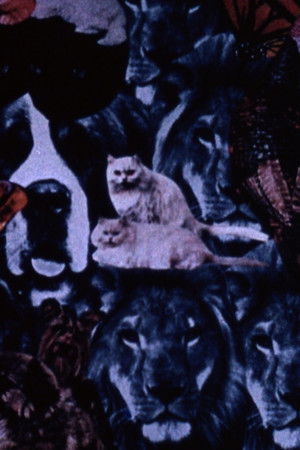 You're Not Real Pretty but You're Mine... You're Not Real Pretty but You're Mine...