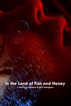 In The Land of Fish and Honey In The Land of Fish and Honey