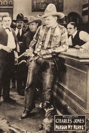 Pardon My Nerve! Pardon My Nerve!