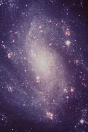 Raumerfahrungen Raumerfahrungen