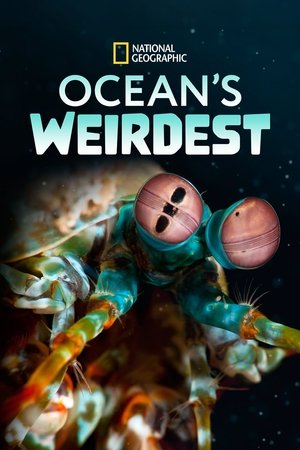 Ocean's Weirdest Ocean's Weirdest