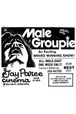 Confessions of a Male Groupie or: How I Learned to Stop Worrying and Love the Electric Banana Confessions of a Male Groupie or: How I Learned to Stop Worrying and Love the Electric Banana