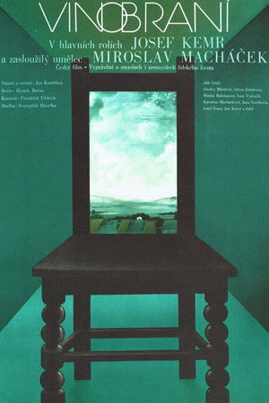 Vinobraní Vinobraní