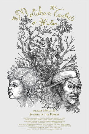 Sunrise in the Forest Sunrise in the Forest