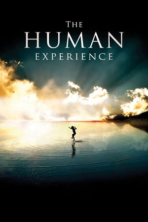The Human Experience The Human Experience