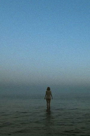 I'll Probably Never See You Again I'll Probably Never See You Again