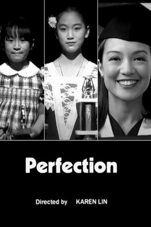 Perfection Perfection