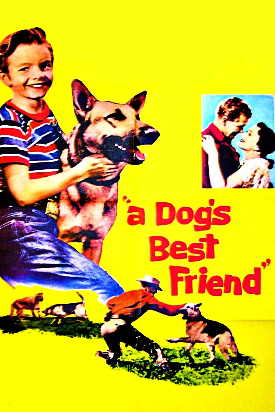 A Dog's Best Friend