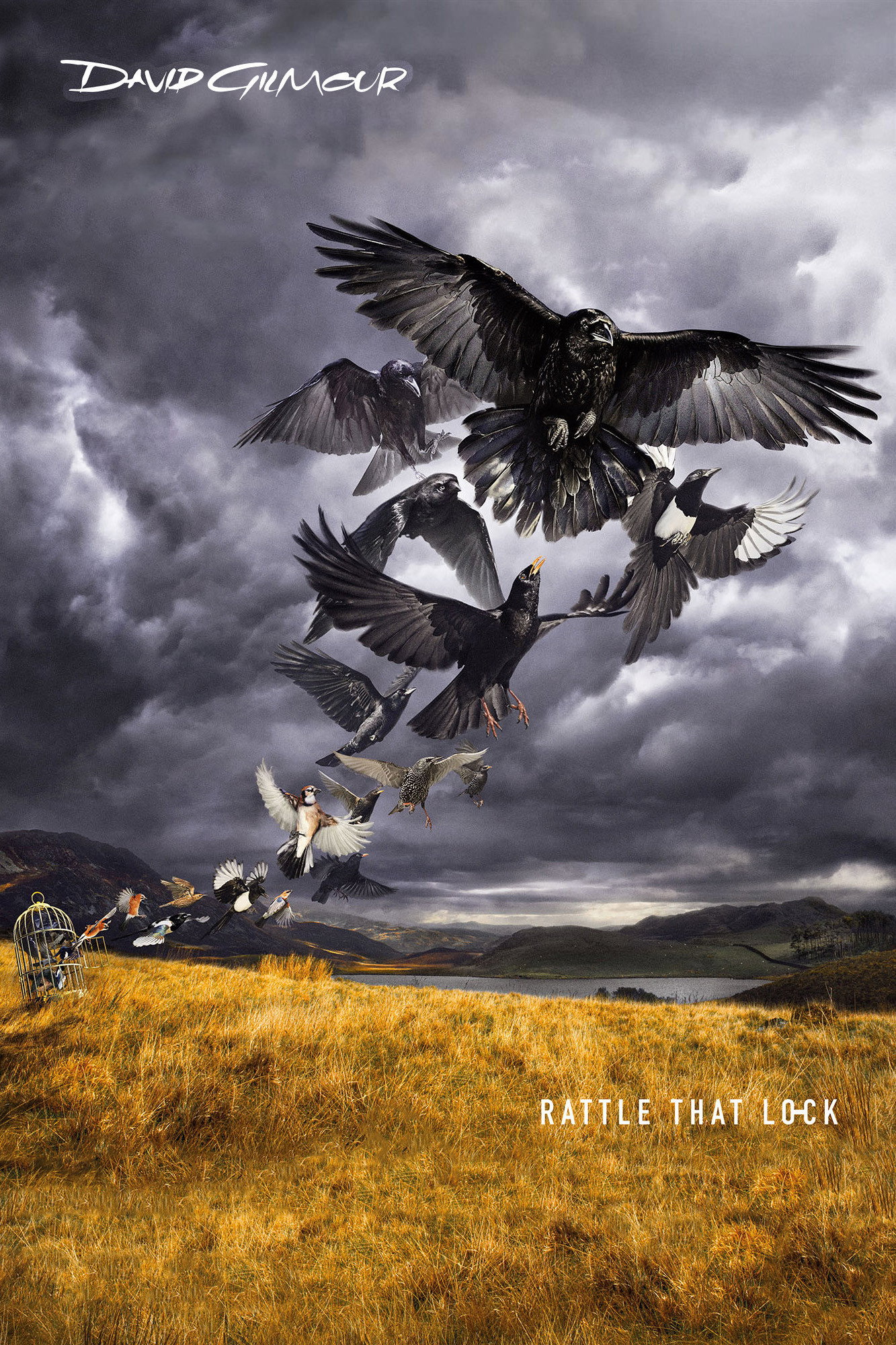 David Gilmour - Rattle That Lock