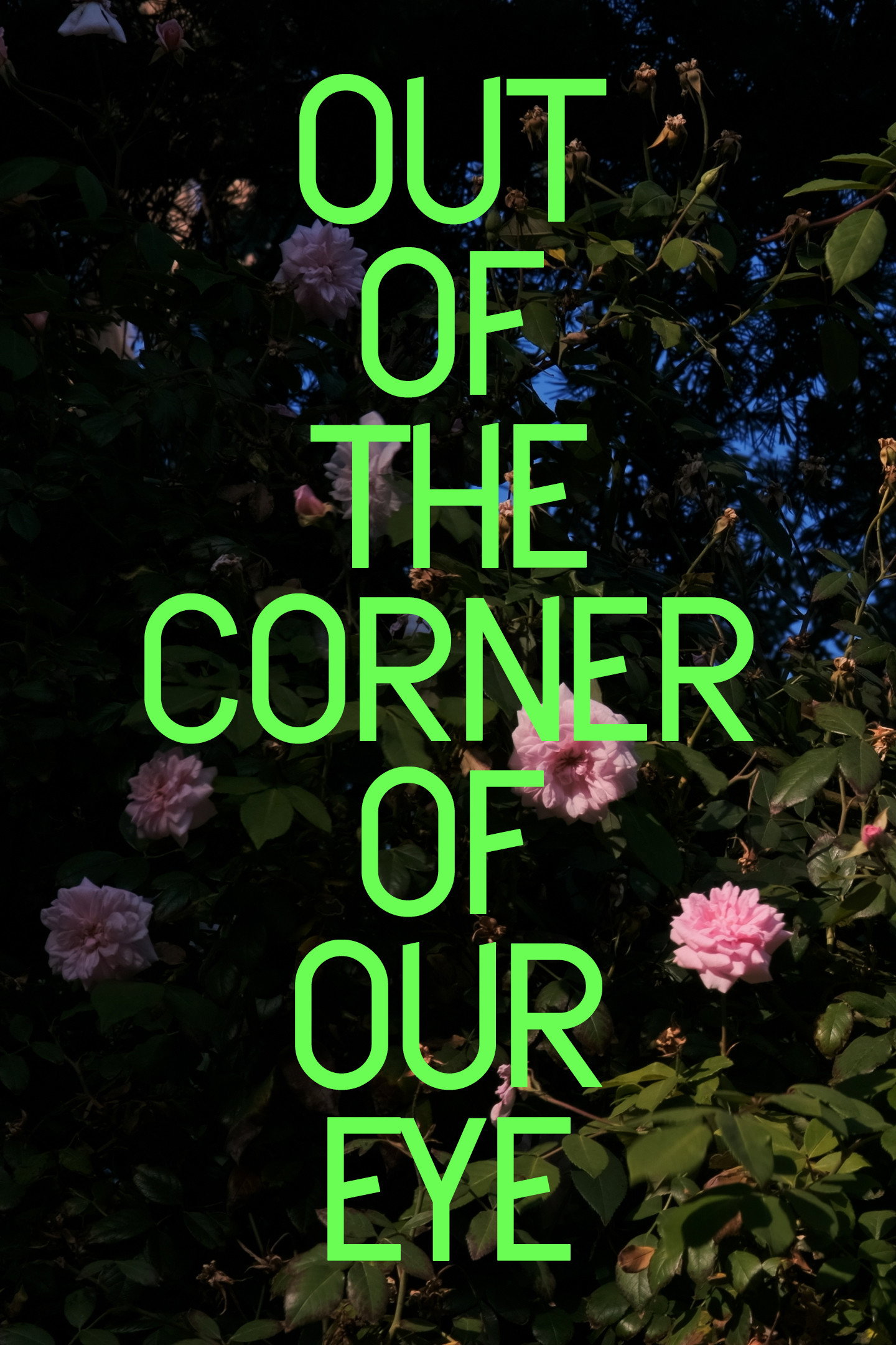 Out of the Corner of Our Eye