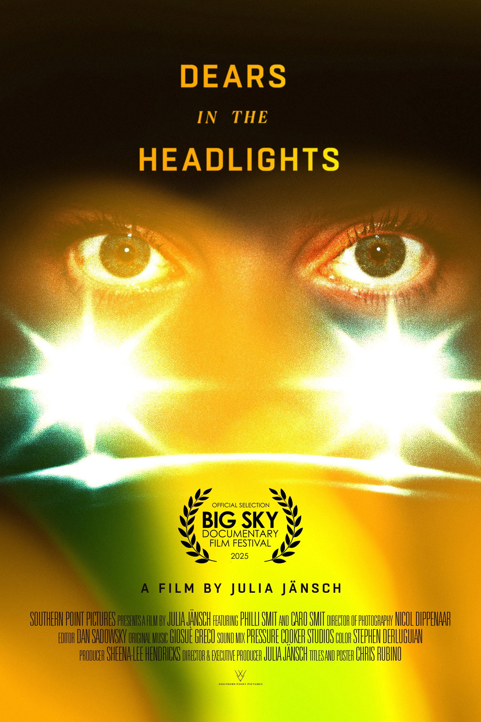 Dears In The Headlights