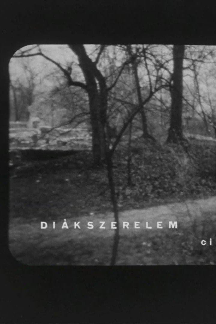 Diákszerelem