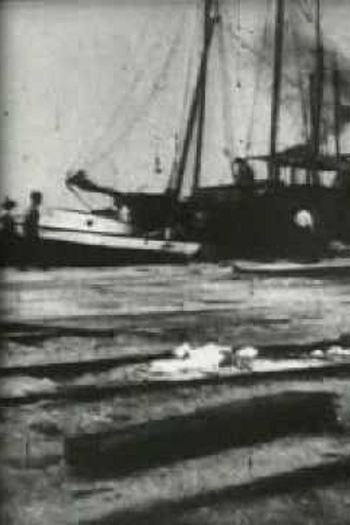Bird's-Eye View of Dock Front, Galveston