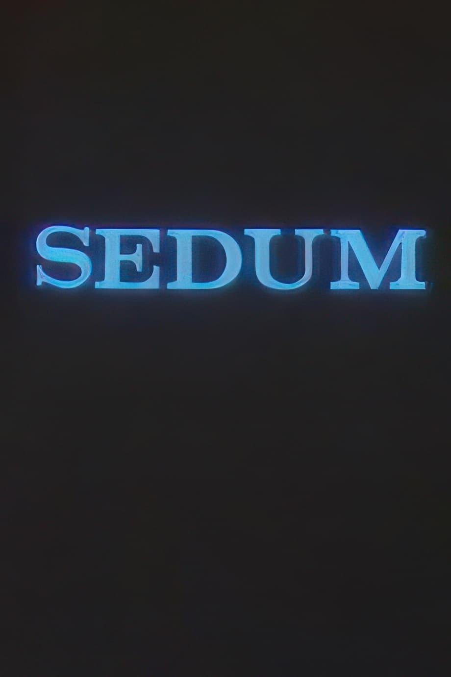 The Seven