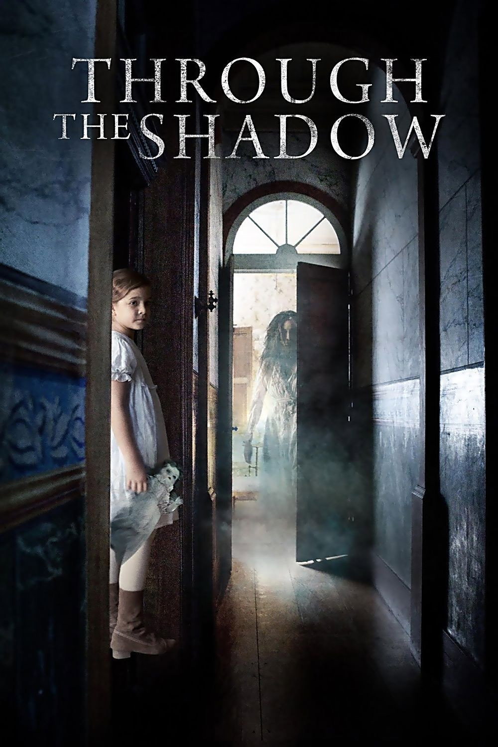 Through the Shadow