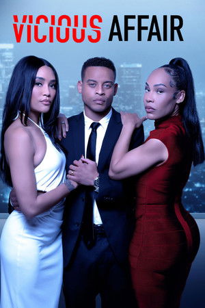 Poster de la pelicula Vicious Affair