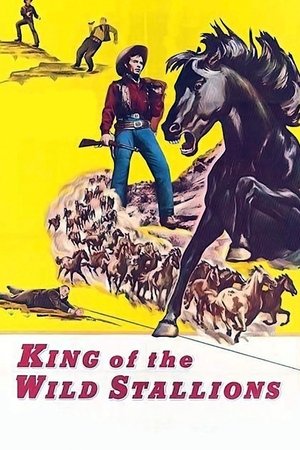 Poster de la pelicula King of the Wild Stallions
