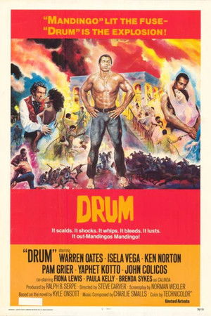 Poster de la pelicula Drum