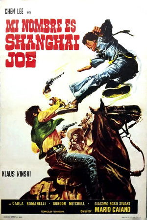 Poster de la pelicula Mi nombre es Shanghai Joe