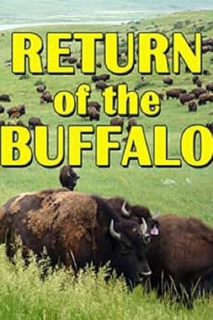 Poster de la pelicula The Return of the Buffalo: Restoring the Great American Prairie
