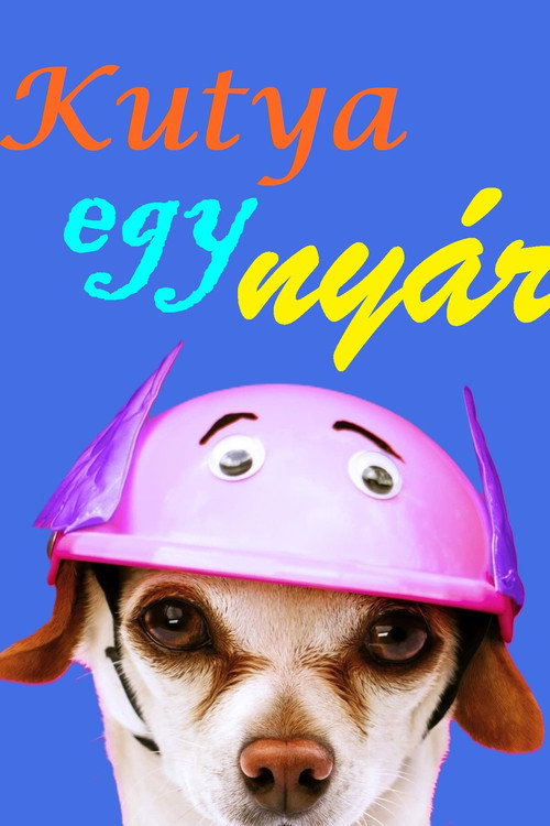 Kutya egy nyár