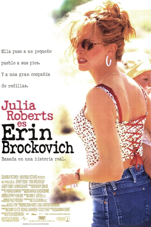 Poster de la pelicula Erin Brockovich, Una Mujer Audaz