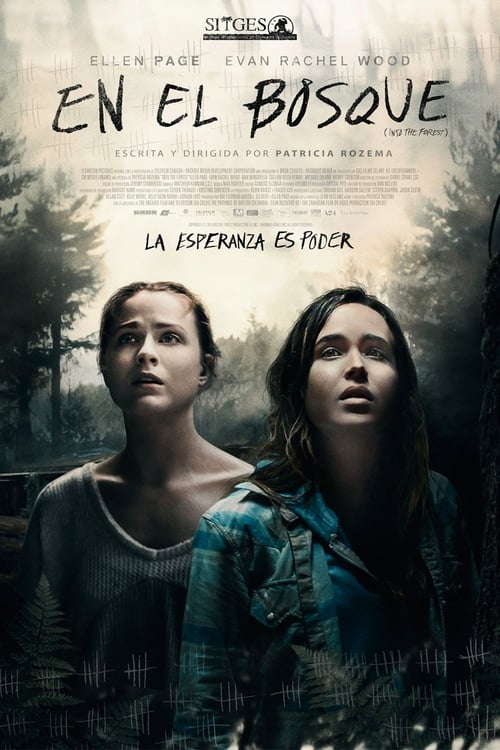 Poster de la pelicula En el Bosque