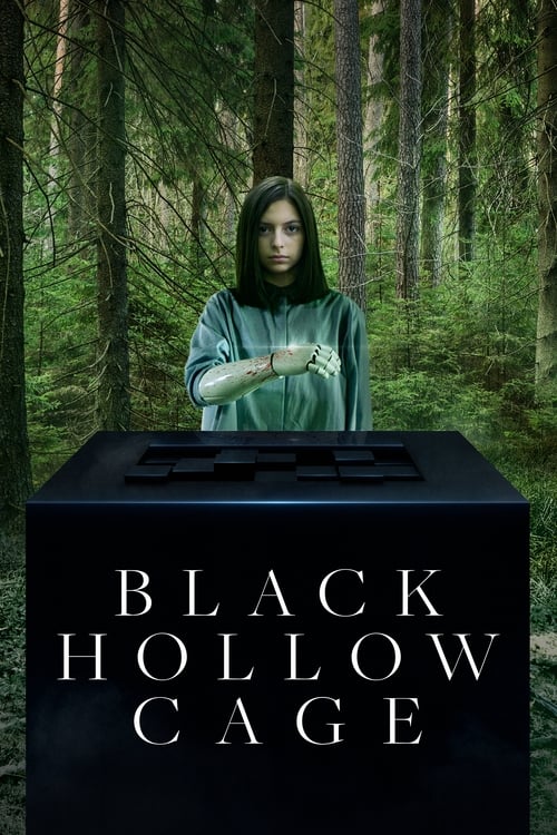 Poster de la pelicula Black Hollow Cage