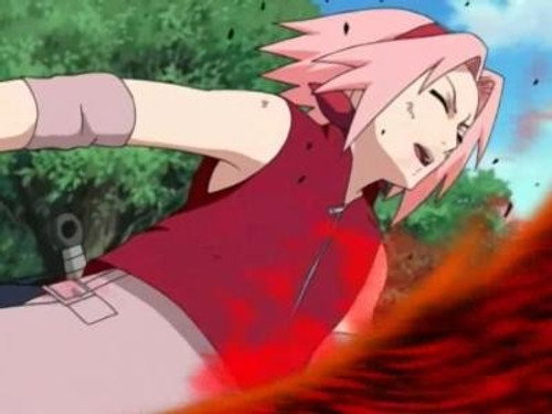 Sakura's Tears