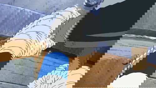 Capture Robin! The Determination of the Straw Hats!