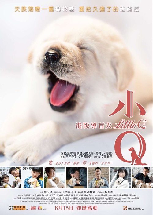 VER Little Q (Pequeña Q) Online Gratis HD