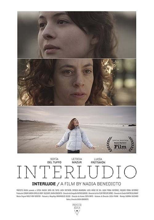 Poster de la pelicula Interludio