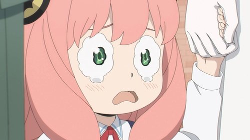 WILL THEY PASS OR FAIL?