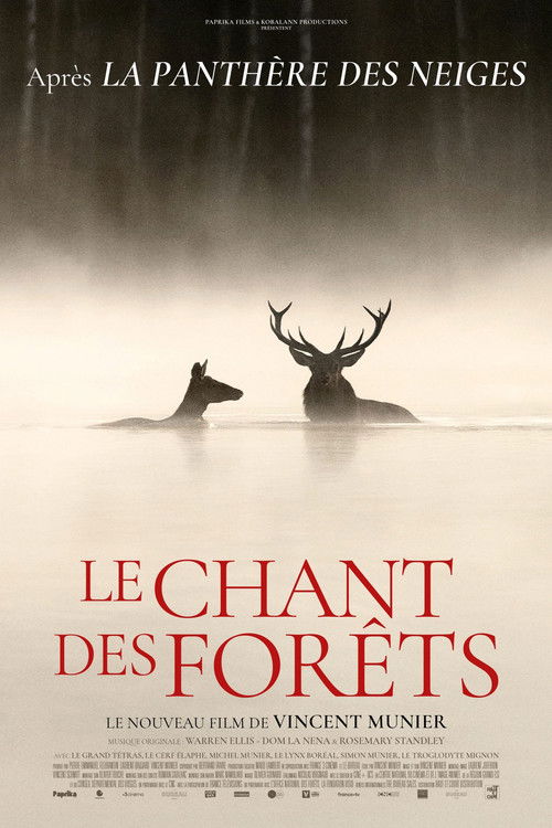 Le chant des forêts