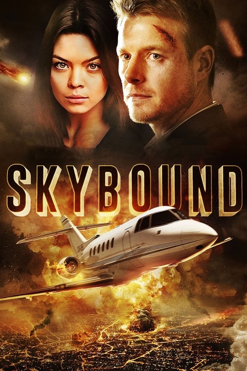 Poster de la pelicula Skybound
