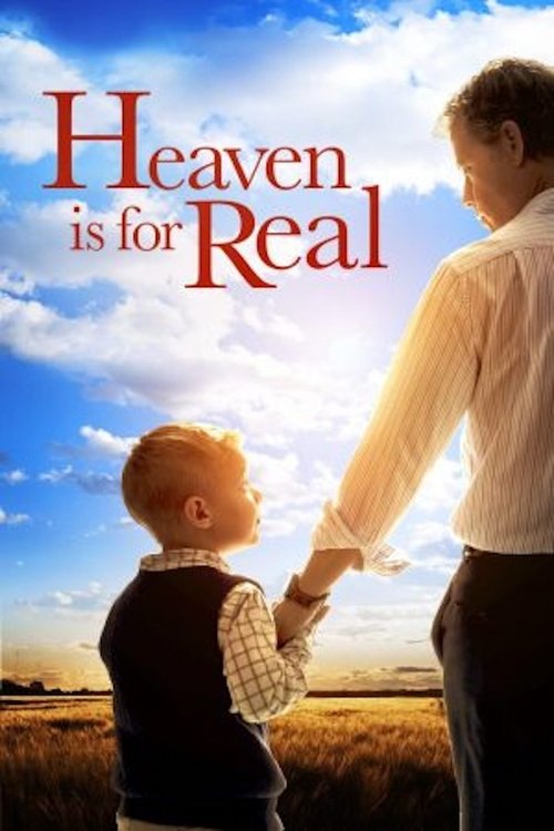 VER El cielo es real Online Gratis HD