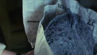 The Living Stones (1)