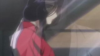 A Swarm of Butterflies