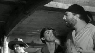 Episode 37