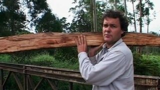 Diaries - Trouble in Paradise