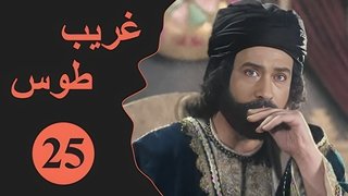 Episode 25
