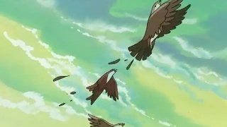 The Robot Birdman