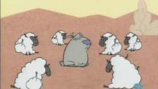 Sheep Dogs