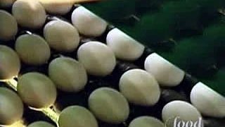 The Egg-Files