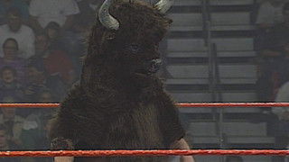 Superstars - Jan. 07, 1995