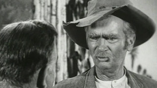 Granny's Spring Tonic