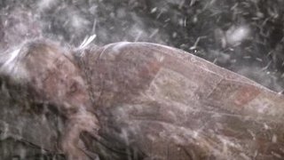 No One to Watch Over Me (1)